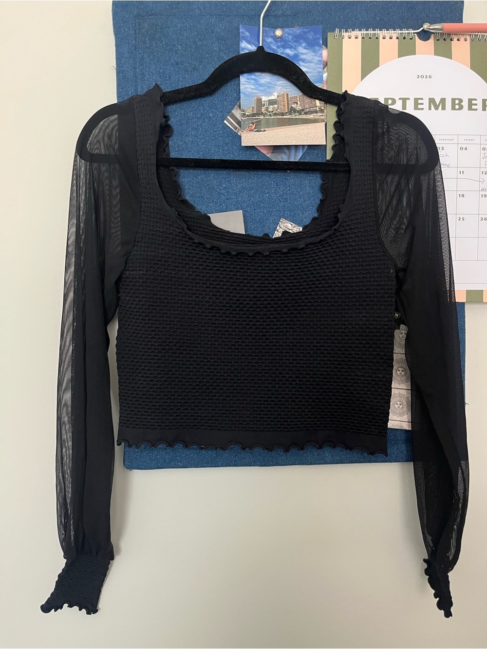 Free People Black Sheer-Sleeve Cropped Knit